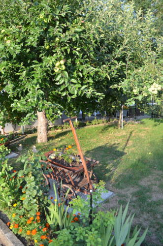 DSC 0681